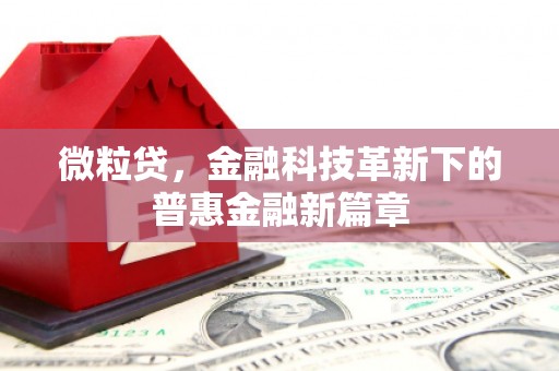 西丰微粒贷，金融科技革新下的普惠金融新篇章