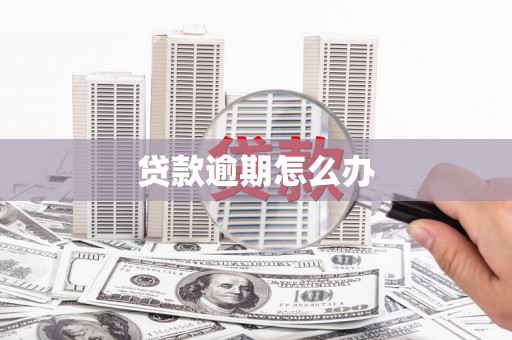 西丰贷款逾期怎么办