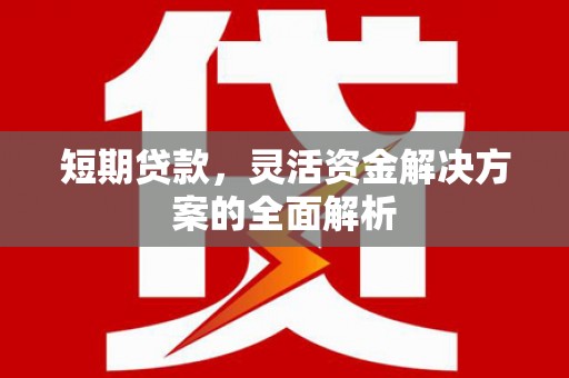 西丰短期贷款，灵活资金解决方案的全面解析