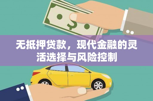 西丰无抵押贷款，现代金融的灵活选择与风险控制