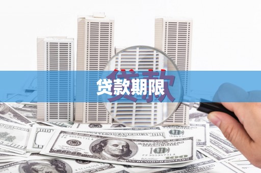 西丰贷款期限
