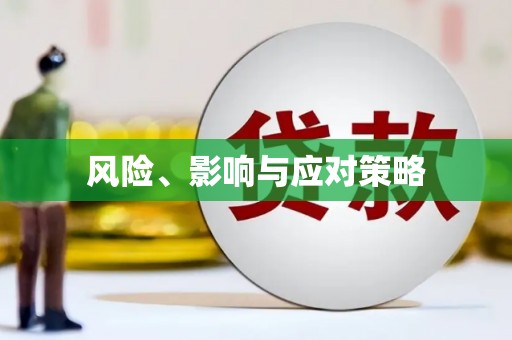 西丰风险、影响与应对策略