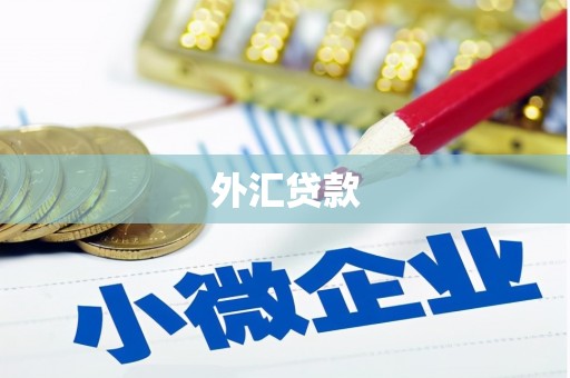 西丰外汇贷款