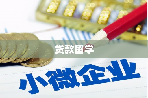 西丰贷款留学