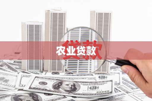 西丰农业贷款