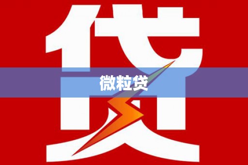 西丰微粒贷