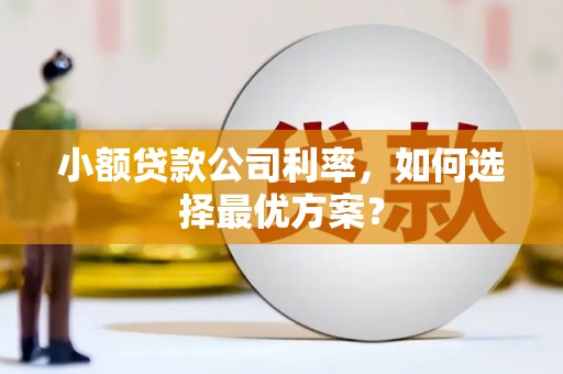西丰小额贷款公司利率，如何选择最优方案？