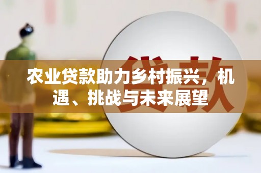 西丰农业贷款助力乡村振兴，机遇、挑战与未来展望
