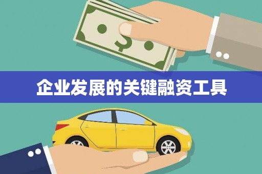 西丰企业发展的关键融资工具