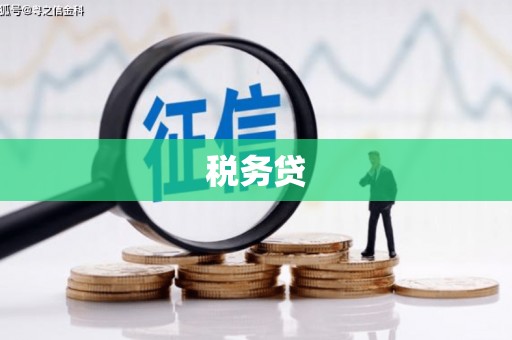 西丰税务贷