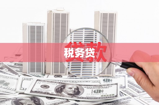 西丰税务贷