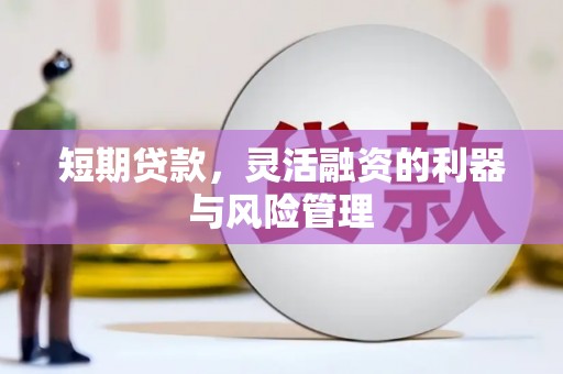西丰短期贷款，灵活融资的利器与风险管理