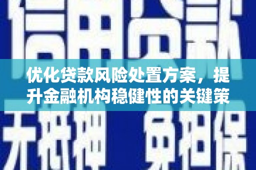 西丰优化贷款风险处置方案，提升金融机构稳健性的关键策略