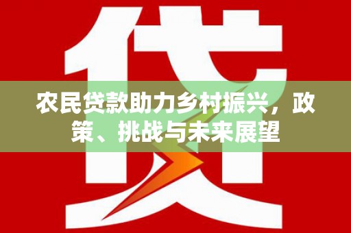 西丰农民贷款助力乡村振兴，政策、挑战与未来展望
