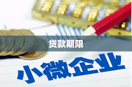 西丰贷款期限