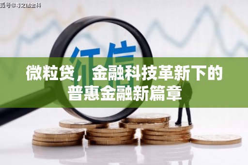 西丰微粒贷，金融科技革新下的普惠金融新篇章