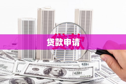 西丰贷款申请