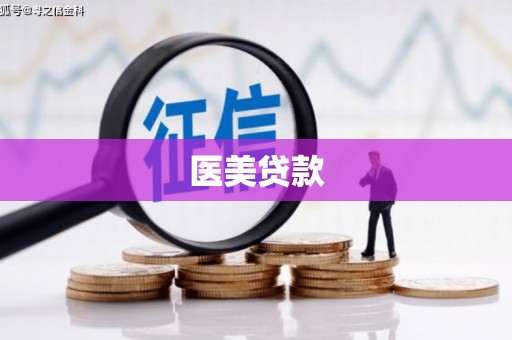 西丰医美贷款