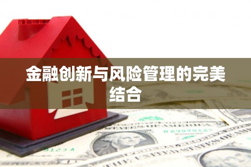 西丰金融创新与风险管理的完美结合