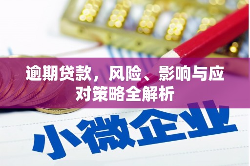 西丰逾期贷款，风险、影响与应对策略全解析