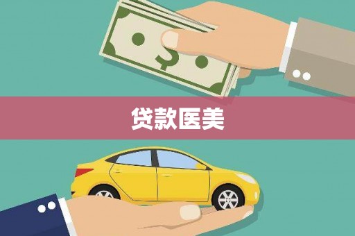 西丰贷款医美