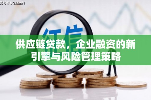 西丰供应链贷款，企业融资的新引擎与风险管理策略