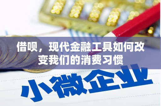 西丰借呗，现代金融工具如何改变我们的消费习惯