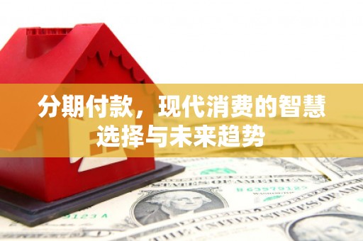 西丰分期付款，现代消费的智慧选择与未来趋势