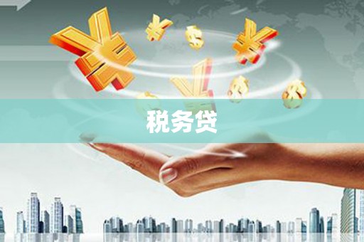 西丰税务贷