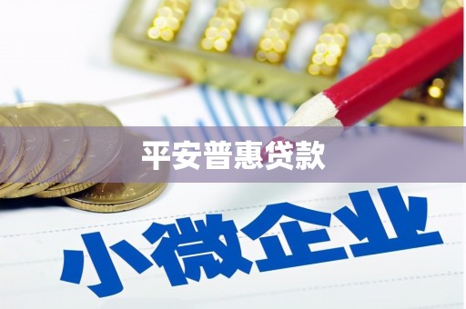 西丰平安普惠贷款