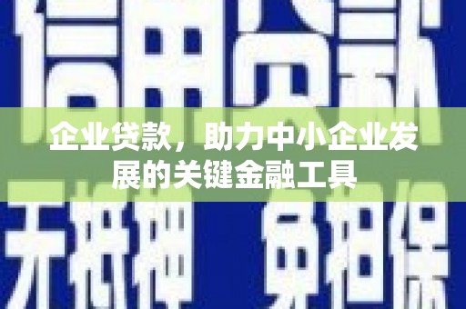 西丰企业贷款，助力中小企业发展的关键金融工具
