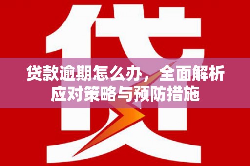西丰贷款逾期怎么办，全面解析应对策略与预防措施