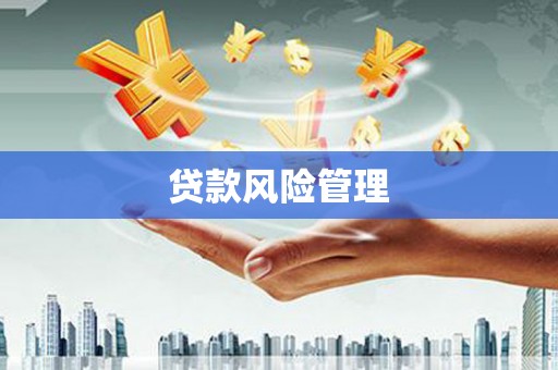 西丰贷款风险管理