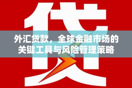 西丰外汇贷款，全球金融市场的关键工具与风险管理策略