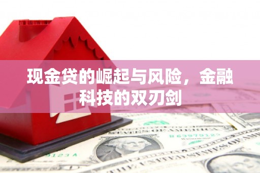 西丰现金贷的崛起与风险，金融科技的双刃剑