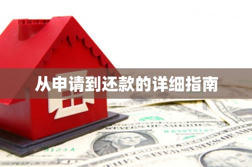 西丰从申请到还款的详细指南