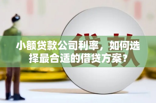西丰小额贷款公司利率，如何选择最合适的借贷方案？