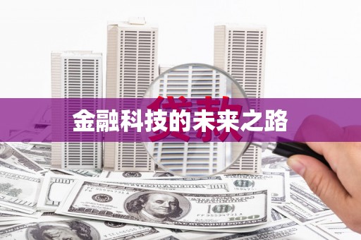 西丰金融科技的未来之路
