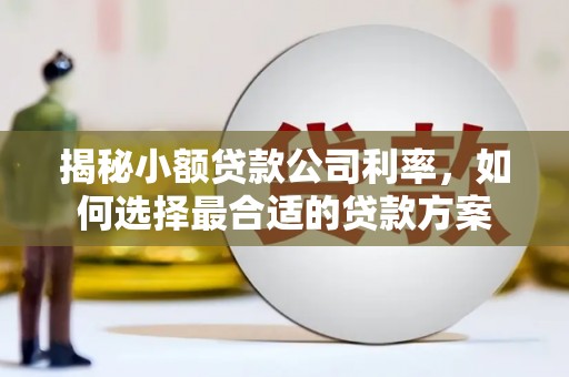 西丰揭秘小额贷款公司利率，如何选择最合适的贷款方案