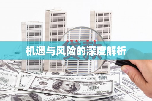 西丰机遇与风险的深度解析