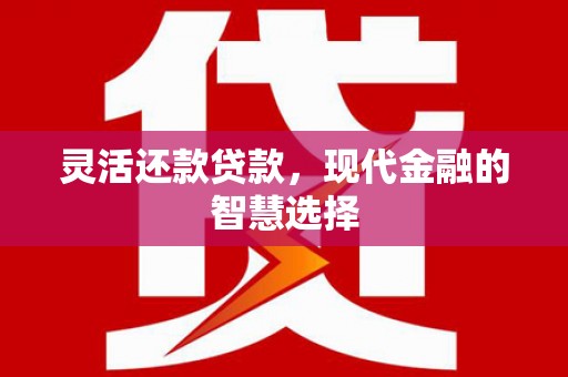 西丰灵活还款贷款，现代金融的智慧选择