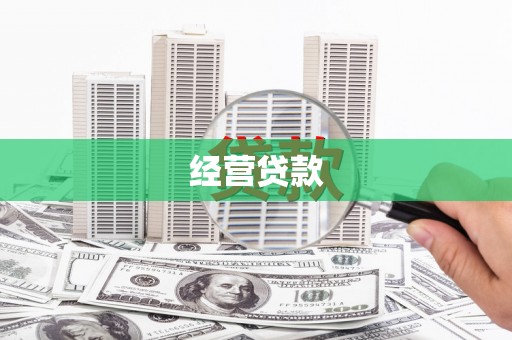 西丰经营贷款