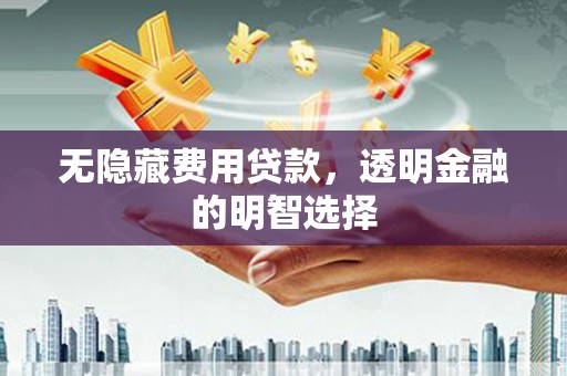 西丰无隐藏费用贷款，透明金融的明智选择