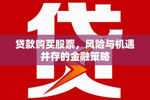 西丰贷款购买股票，风险与机遇并存的金融策略