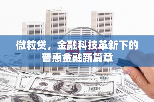 西丰微粒贷，金融科技革新下的普惠金融新篇章