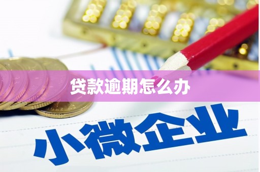 西丰贷款逾期怎么办
