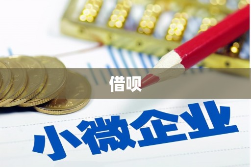 西丰借呗