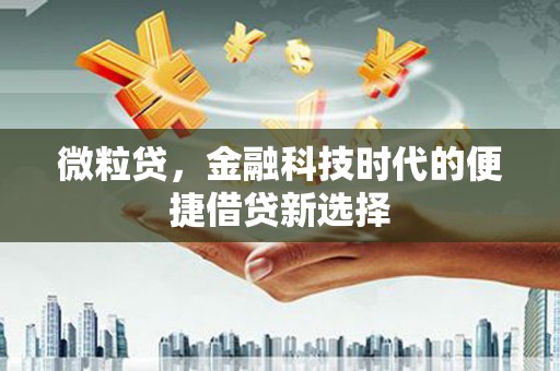 西丰微粒贷，金融科技时代的便捷借贷新选择