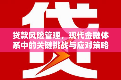 西丰贷款风险管理，现代金融体系中的关键挑战与应对策略