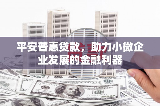 西丰平安普惠贷款，助力小微企业发展的金融利器